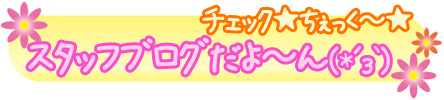 スタッフブログ